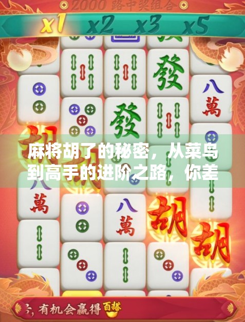 麻将胡了的秘密，从菜鸟到高手的进阶之路，你差的不是运气，是这3个关键技巧！