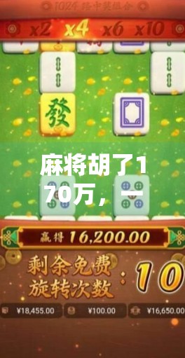 麻将胡了170万，一场运气的狂欢，还是规则的漏洞？