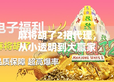 麻将胡了2招代理，从小透明到大赢家的逆袭之路
